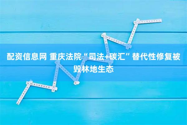 配资信息网 重庆法院“司法+碳汇”替代性修复被毁林地生态